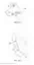 Fig. 08 - Adapter for restraining pets