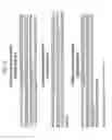 Fig. 04 - NON-HUMAN ANIMALS EXPRESSING HUMANIZED CD3 COMPLEX
