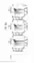 Fig. 06 - NON-HUMAN ANIMALS EXPRESSING HUMANIZED CD3 COMPLEX