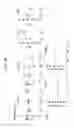 Fig. 07 - NON-HUMAN ANIMALS EXPRESSING HUMANIZED CD3 COMPLEX