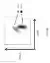 Fig. 08 - Genetically modified major histocompatibility complex mice