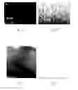Fig. 07 - Antimicrobial materials and methods