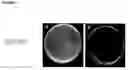 Fig. 03 - Biocide composition for controlling pests affecting European honey bees, consisting of a water-soluble extract