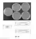 Fig. 05 - Preservative system for acidic beverages based on sequestrants