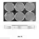 Fig. 06 - Preservative system for acidic beverages based on sequestrants
