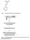 Fig. 02 - Compositions comprising cinnamaldehyde and zinc and methods of using such compositions