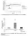 Fig. 03 - Compositions comprising cinnamaldehyde and zinc and methods of using such compositions