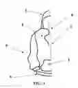 Fig. 04 - Garment with front and back zipper