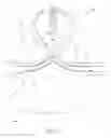 Fig. 04 - CONVERTIBLE SWIMSUIT TOP