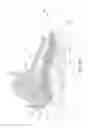 Fig. 13 - Sole structure configured to allow relative heel/forefoot motion