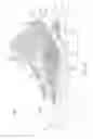 Fig. 15 - Sole structure configured to allow relative heel/forefoot motion