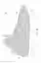 Fig. 20 - Sole structure configured to allow relative heel/forefoot motion