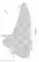Fig. 23 - Sole structure configured to allow relative heel/forefoot motion