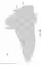 Fig. 24 - Sole structure configured to allow relative heel/forefoot motion