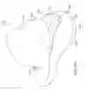 Fig. 40 - Sole structure configured to allow relative heel/forefoot motion