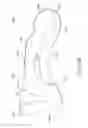 Fig. 45 - Sole structure configured to allow relative heel/forefoot motion