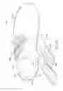 Fig. 67 - Sole structure configured to allow relative heel/forefoot motion