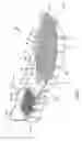 Fig. 02 - Sole structure with segmented portions