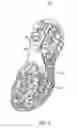 Fig. 06 - Sole structure with segmented portions