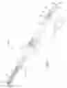 Fig. 02 - Handheld device for personal hygiene of the foot