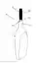 Fig. 01 - Portable interdental toothbrush
