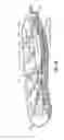 Fig. 08 - Chair