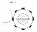 Fig. 03 - Storage device for apparel belts and linear shaped accessory items