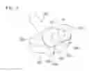 Fig. 04 - Nozzle for a vacuum cleaner and vacuum cleaner