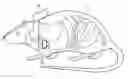 Fig. 01 - BLOOD PRESSURE SENSOR