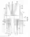 Fig. 11 - Catheter with multi-functional control handle having rotational mechanism