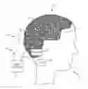 Fig. 01 - High definition EEG