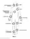Fig. 03 - ELECTRONICS FOR DETECTION OF A CONDITION OF TISSUE