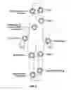 Fig. 03 - ELECTRONICS FOR DETECTION OF A CONDITION OF TISSUE