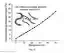 Fig. 20 - ELECTRONICS FOR DETECTION OF A CONDITION OF TISSUE