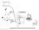 Fig. 01 - METHOD AND SYSTEM FOR COMBINING PHYSIOLOGICAL AND MACHINE INFORMATION TO ENHANCE FUNCTION
