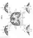 Fig. 07 - Image processing apparatus