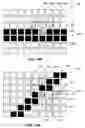 Fig. 09 - Intraoral X-ray imaging sensor and readout