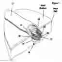 Fig. 02 - Fastener apparatus for tissue and methods of deployment and manufacture