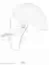 Fig. 04 - Curette for pituitary adenoma surgery