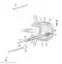Fig. 03 - Delivery Device and Method For Vertebroplasty and Kyphoplasty Procedures