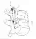 Fig. 08 - Pedicle screw assembly