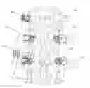 Fig. 01 - Percutaneous pedicle screw revision system