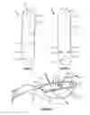 Fig. 09 - Bone fixation devices and methods