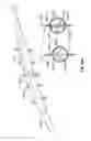 Fig. 102 - Vapor ablation system with a catheter having more than one positioning element and configured to treat duodenal tissue