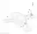 Fig. 19 - Vapor ablation system with a catheter having more than one positioning element and configured to treat duodenal tissue
