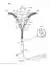 Fig. 25 - Vapor ablation system with a catheter having more than one positioning element and configured to treat duodenal tissue
