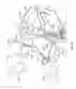 Fig. 68 - Vapor ablation system with a catheter having more than one positioning element and configured to treat duodenal tissue