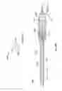 Fig. 81 - Vapor ablation system with a catheter having more than one positioning element and configured to treat duodenal tissue