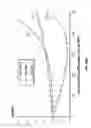 Fig. 98 - Vapor ablation system with a catheter having more than one positioning element and configured to treat duodenal tissue