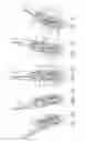 Fig. 07 - Surgical instrument articulation